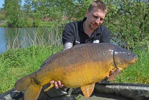 thecarpspecialist-dekarperhoeve-timmyslake-betaalwater-karpervissen-belgie-2_500_334_70.jpg