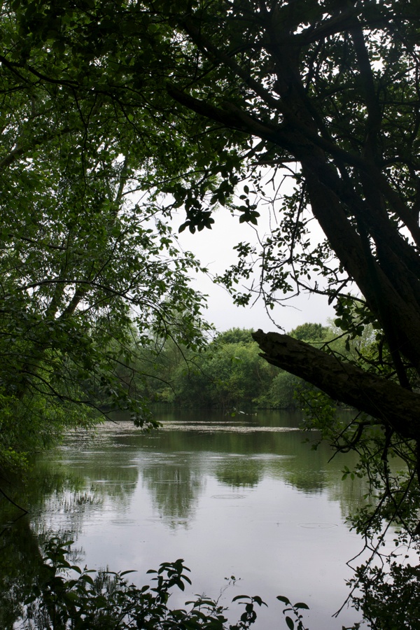 Ik kan een wierveld bevissen...