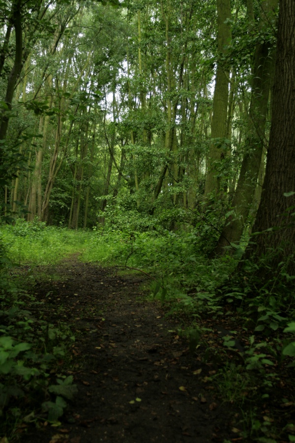De weersomstandigheden zijn typisch Engels...