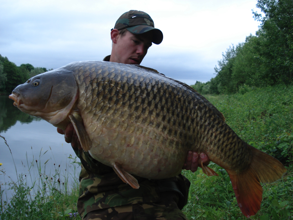 Guppy Peter van Kruistum