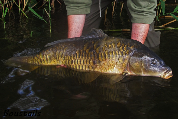 Boustails volschub closeup