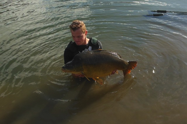 boul 38 roy de keijzer