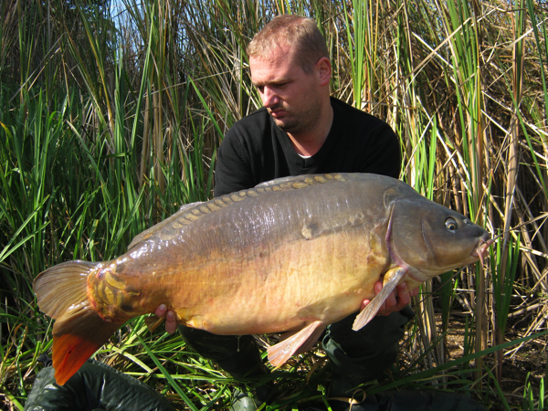 Sjef-van-den-Hoven-7