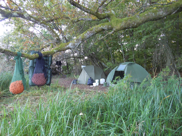 Sjef-van-den-Hoven-8