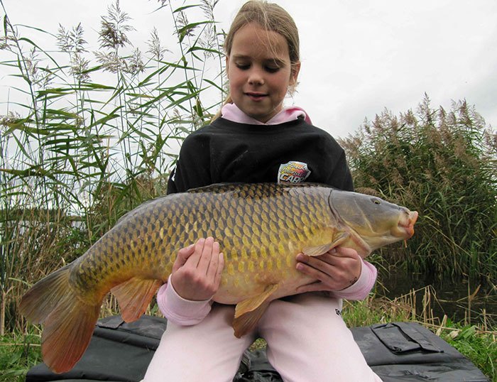 Chris-Gabriele-rotary-aas-1