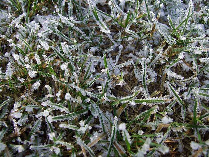 Stug zet ik door... Diep het najaar en de daarop volgende winter in.