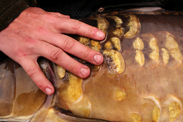 Jordy-Op-T-Hof-close-up-spiegel