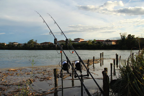 Saron-Debets-riviervissen