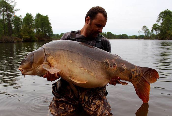 Solar-Wesley-Lagaert-Rainbow-Lake-Steve-Briggs-carp