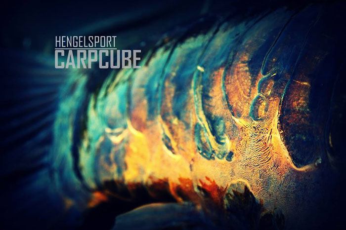 Carpcube-karper-4