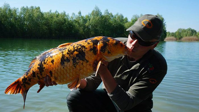 Over pareltjes gesproken! Kristof ving naast enkele mooie vissen dit pareltje van Tounizet.