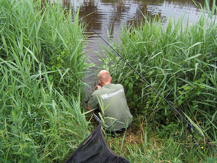 Op zoek naar een nieuwe stek.
