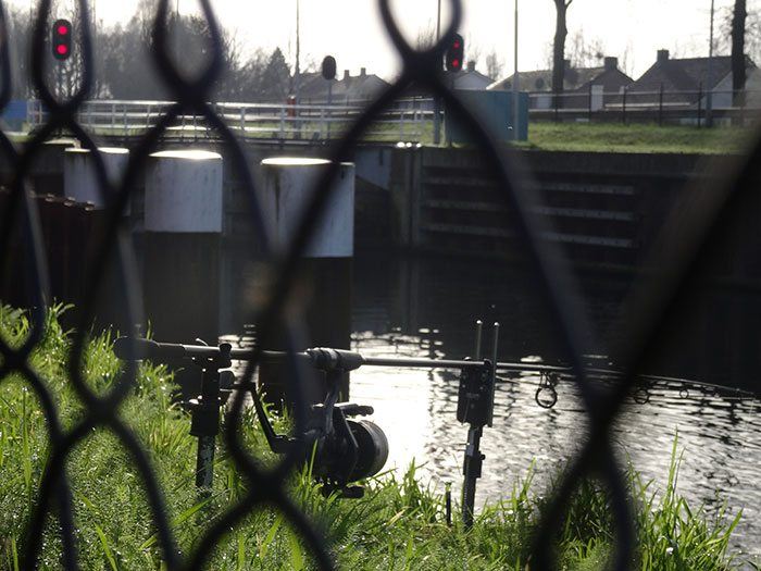 In en rondom holding area's van de karpers zal je extra op moeten letten hoe je jouw vislijnen door het water laat lopen.