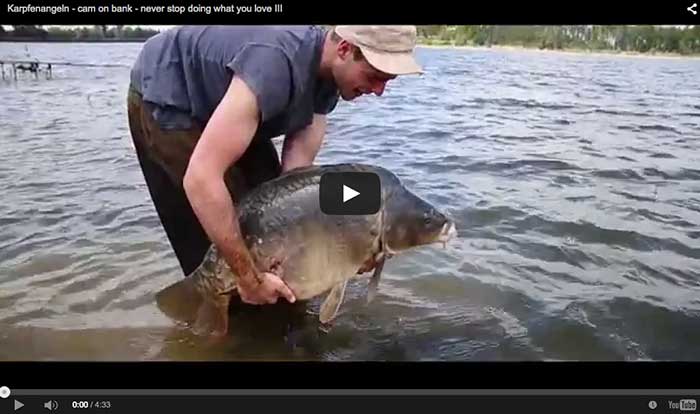 Carpvid-video-duitsers-karper