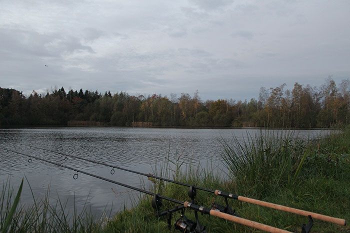 De Warriors in rust op de steunen.