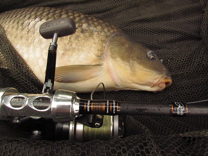 Klik op de afbeelding om naar de website te gaan.