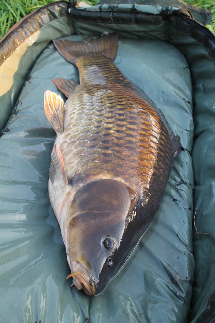 Elke keer maar één...