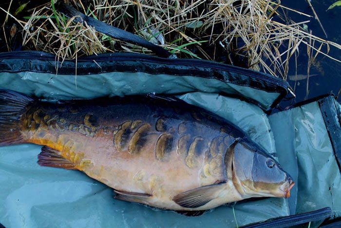 Tot mijn verbazing loopt de andere stok ook nog af…