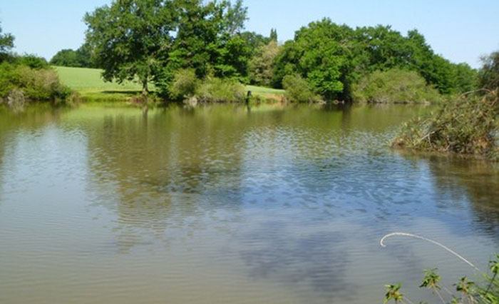 Martins-Lakes-Fisherman-Holidays-2