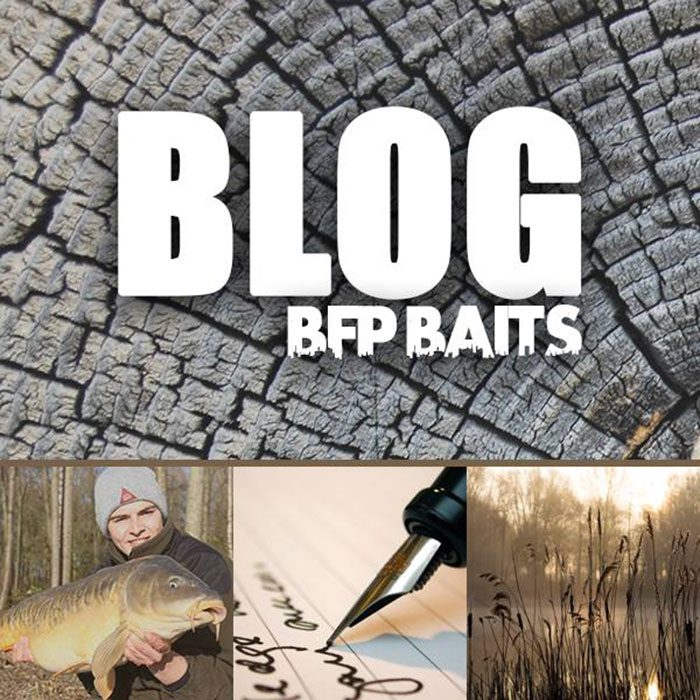 BFP-Baits-blog