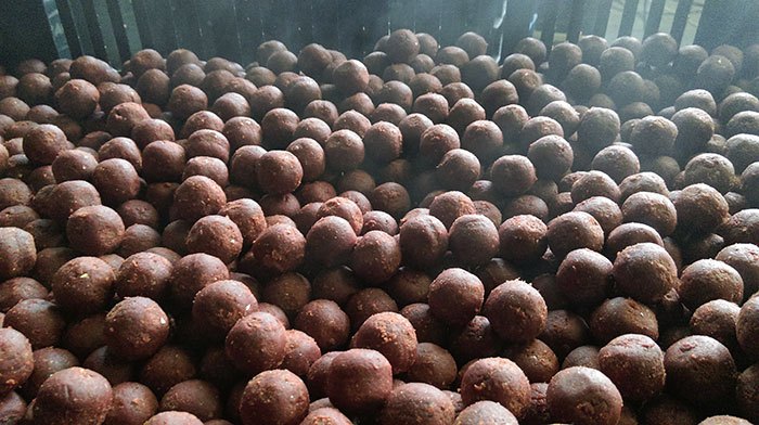 Cris-Scheffer-kanaalvissen-karper--B4