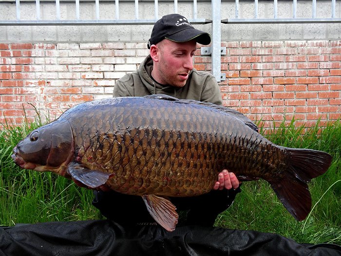 Een 'choco kleurige' schub gunde mij niet eens even de tijd mijn biertje op te drinken.