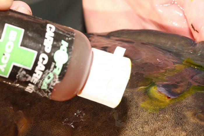 Karper-carp-care-definitef