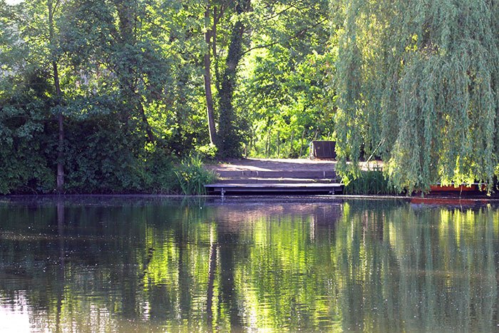 Lizette-Beunders-Birthday-Carp-6