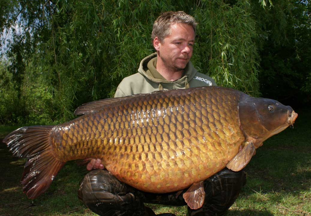 mirko-schulze-header-big-carp