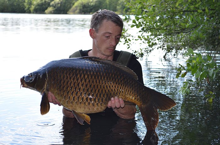 Tom-Castelein-karper-1