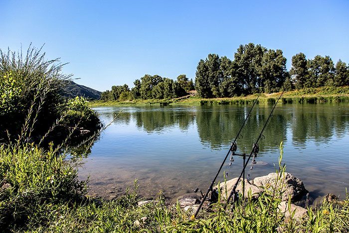 De Shimano Tribal Velocity 12 ft. 3.00 lbs