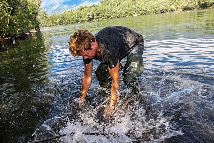 KWO-Shimano-Tribal-Velocity-7