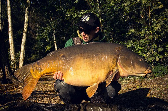 Een puntgave spiegel. Vissen als deze zijn altijd welkom, maar ZEKER bij een karperwedstrijd.