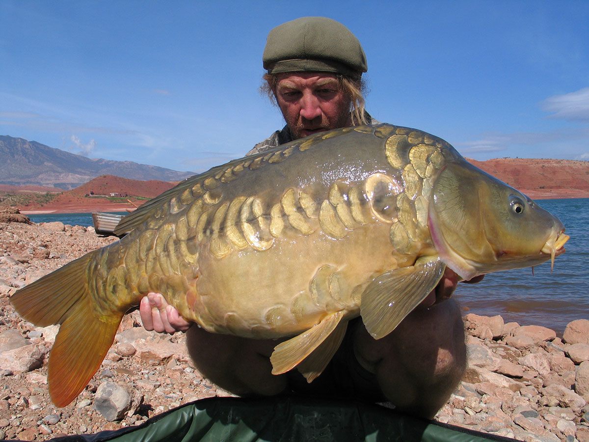 Alijn-Danau-Marokko-karpervissen