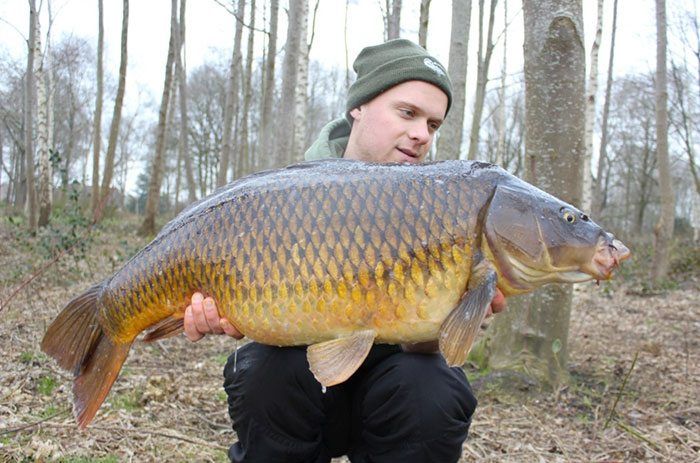 BFP Baits heeft boilies voor ieder jaargetijde. Laat je adviseren op de stand.