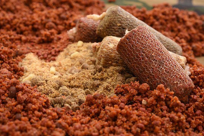 Kom langs op Zwolle om de nieuwe producten te bekijken (en te ruiken/proeven).