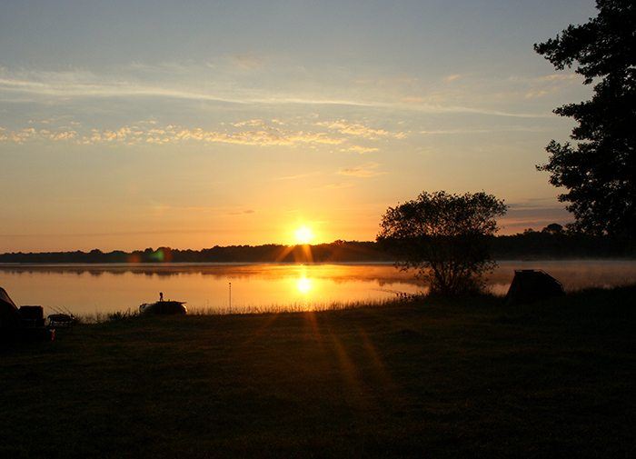 Wat zal 2016 gaan brengen?
