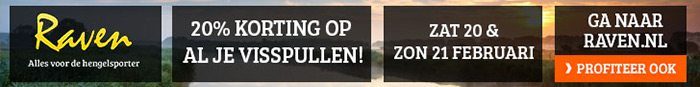 Raven-Webshop_banner_728_90