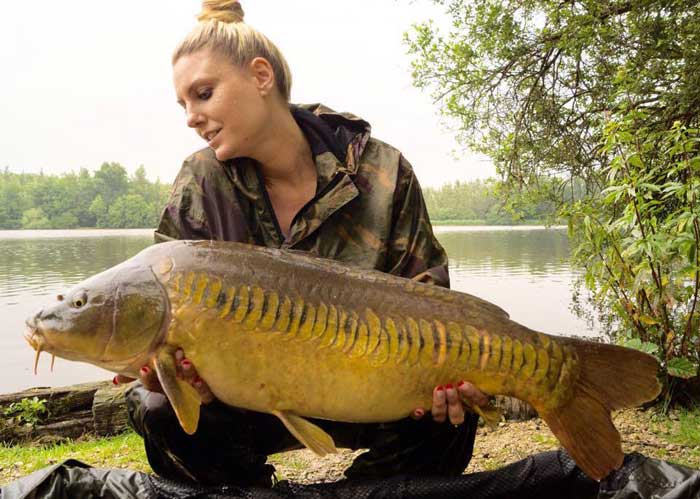 Alles op een rijtje @ Brocard.