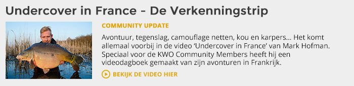 kwo-community-trigger-member