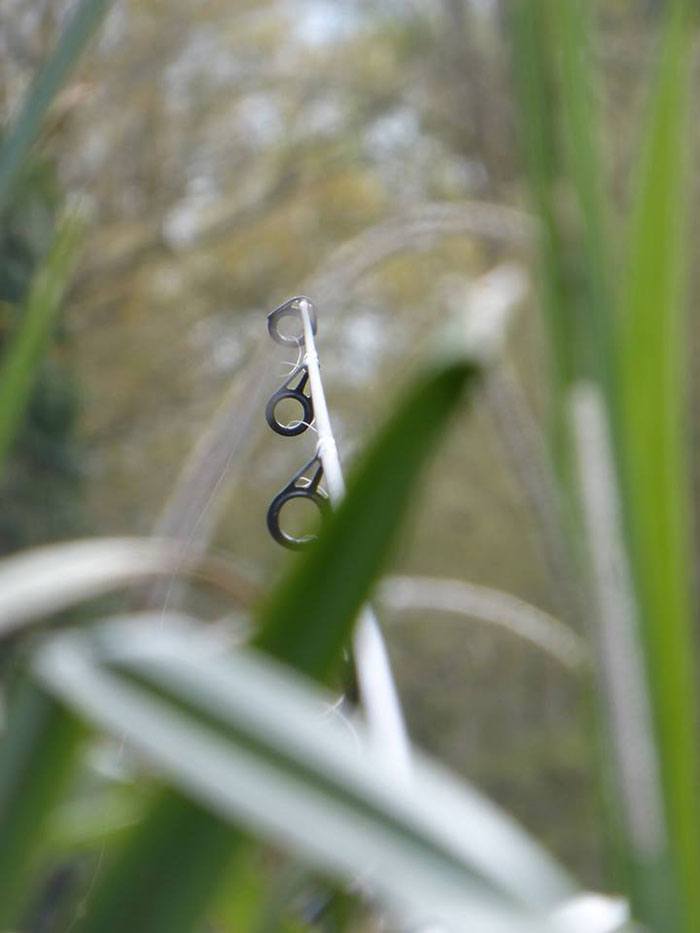 riet-voorjaar