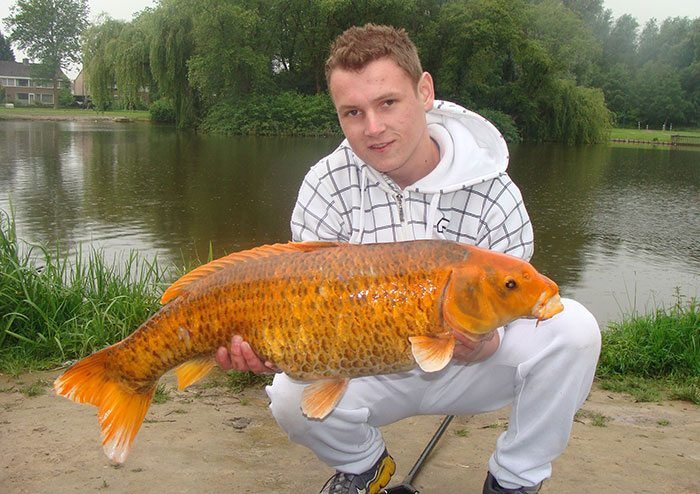 Kevin-de-Bijl-koi