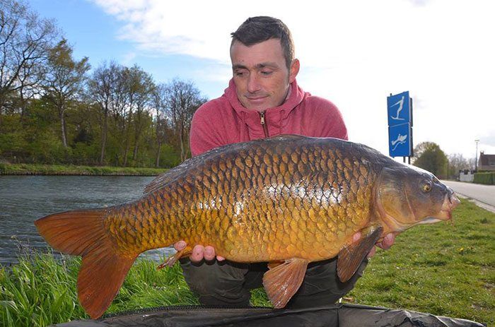 kristof-dreambaits-kanaal-karper-2