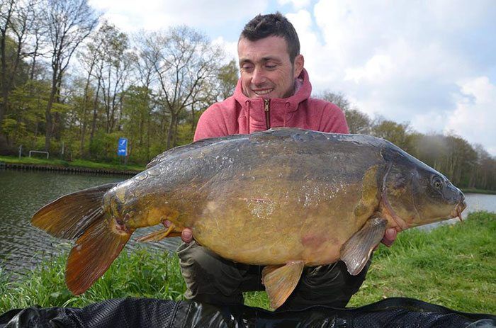 kristof-dreambaits-kanaal-karper-3