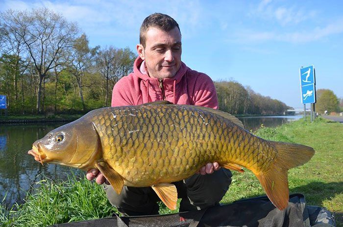 kristof-dreambaits-kanaal-karper-4