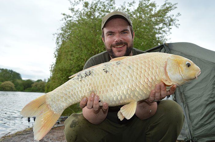 Deze Koi leverde Rob Meijs een leuke bonus op tijdens een midweekje vissen op De Karperhoeve. Door deze vangst mag hij GRATIS een weekendje terug komen!