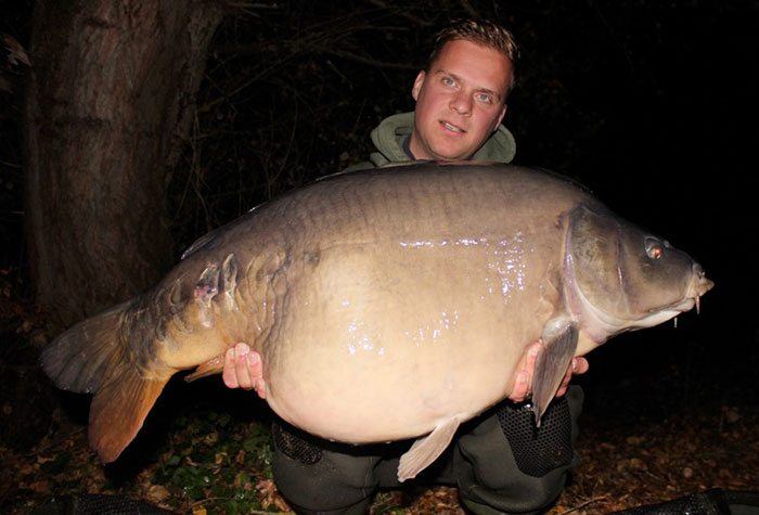 Bas met een Franse buffel uit afgelopen najaar.