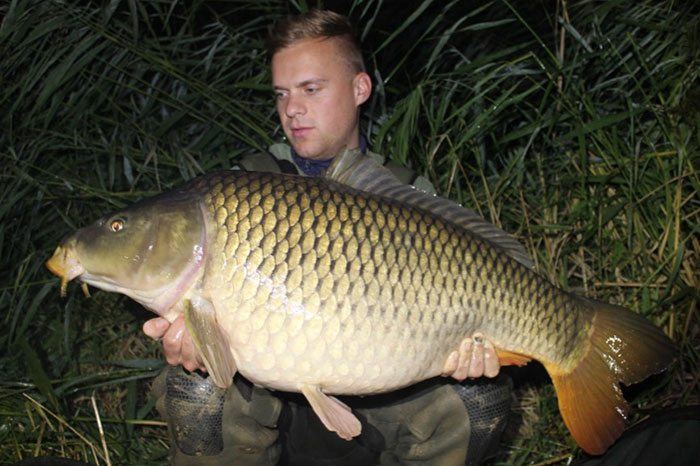 Bas met een rivierschub gevangen op de Mulberry.