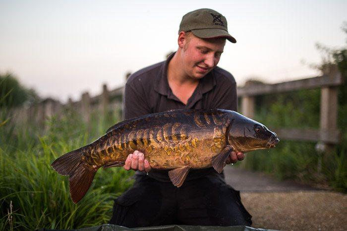 Een van de mooiste visjes van het water.