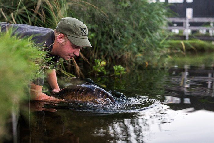 Al voor de nacht begint is de sessie geslaagd, niet wetend wat nog ging komen.